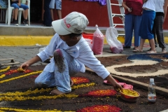 Alfombras Pasionarias 2011